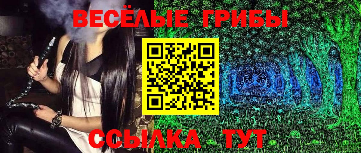 Всеволожск  Галлюциногенные грибы Psilocybine cubensis  Вход с VPN 