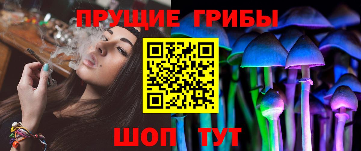 Галлюциногенные грибы прущие грибы Всеволожск